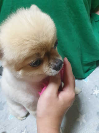 김릴리님이 올린 리뷰 사진 2