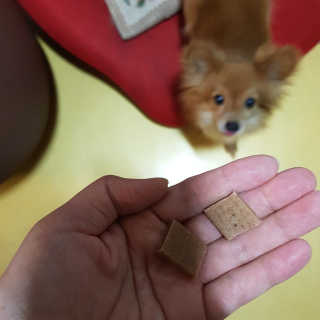 Rushx님이 올린 리뷰 사진 1