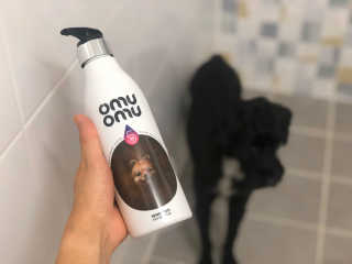 유짱님이 올린 리뷰 사진 1