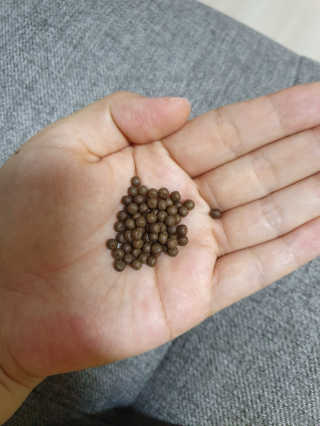 mang님이 올린 리뷰 사진 3