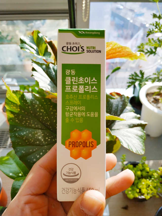 광동 클린초이스 프로폴리스 리뷰 사진