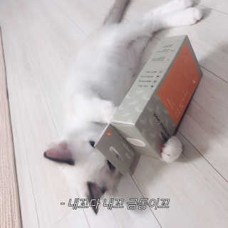 라움이님이 올린 리뷰 사진 2