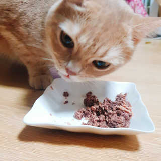 lesi님이 올린 리뷰 사진 2