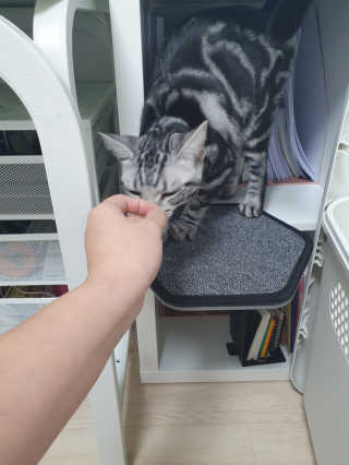 유리맘님이 올린 리뷰 사진 1