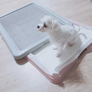 LeeGoEun님이 올린 리뷰 사진 2