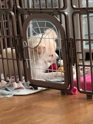 정혜원님이 올린 리뷰 사진 1