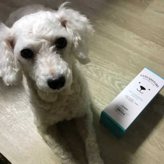 강아지스토리 펫샴푸 300ml — 4.5점을 준 리뷰어가 2019년 3월 올린 사용 사진