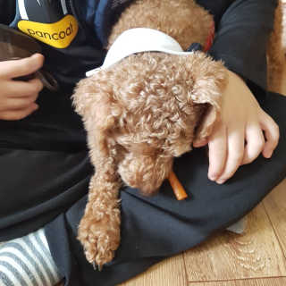EunHyangKim님이 올린 리뷰 사진 2