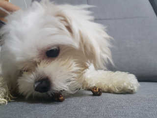 Ranny님이 올린 리뷰 사진 1