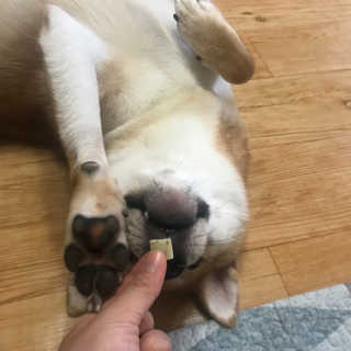yeji님이 올린 리뷰 사진 2