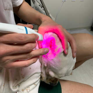Ghhryh님이 올린 리뷰 사진 2