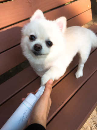 타고난몸매님이 올린 리뷰 사진 1