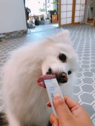 제인님이 올린 리뷰 사진 3
