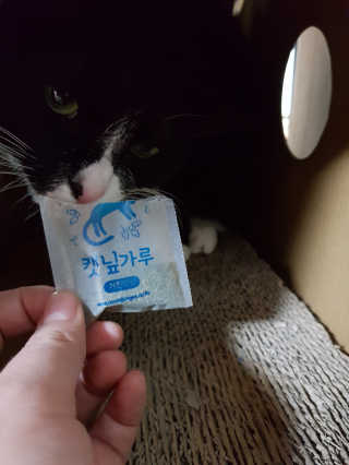 정이님이 올린 리뷰 사진 3