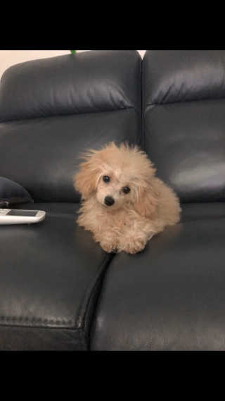 모모님이 올린 리뷰 사진 2