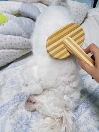 이혜령님이 올린 리뷰 사진 2