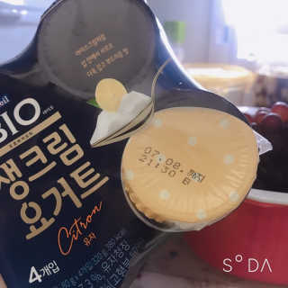 [매일 바이오] 생크림요거트 플레인 12개 + 유자 12개 — 5점을 준 리뷰어가 2019년 7월 올린 사용 사진