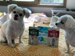 아토사랑이맘님이 올린 리뷰 사진 3
