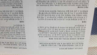 박오뎅님이 올린 리뷰 사진 4