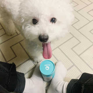 홍쓰다스 다이어트유산균, 체지방감소와 장건강개선 — 5점을 준 리뷰어가 2019년 11월 올린 사용 사진