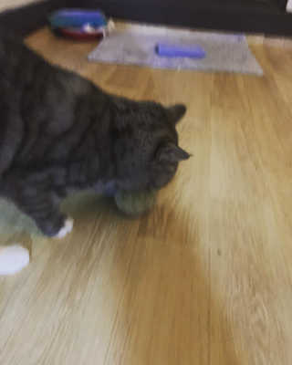 호롤로님이 올린 리뷰 사진 3