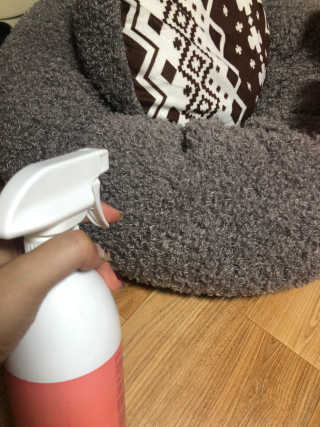 콩자엄마님이 올린 리뷰 사진 3