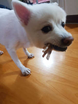 iy1129님이 올린 리뷰 사진 1