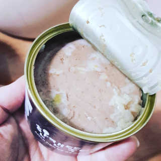 [펫토리아] 한캔뚝딱 강아지 주식캔 12종 콤보 — 5점을 준 리뷰어가 2019년 8월 올린 사용 사진