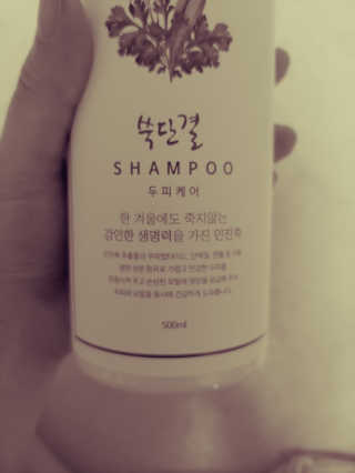 JinKim님이 올린 리뷰 사진 3