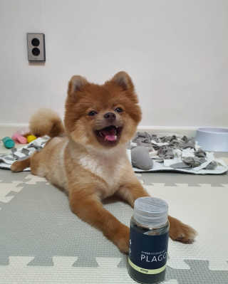 미뎡님이 올린 리뷰 사진 2