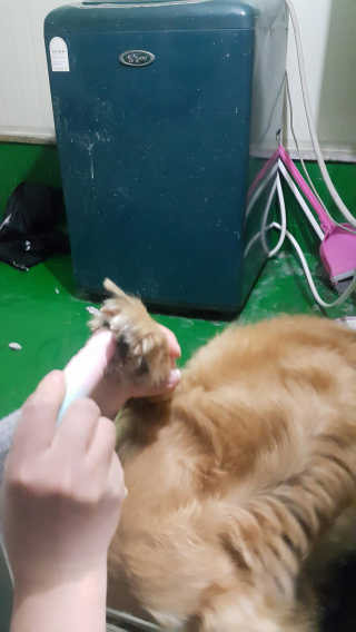 별이님이 올린 리뷰 사진 2