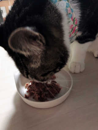리째님이 올린 리뷰 사진 3