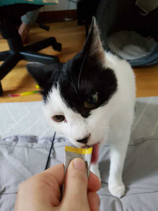 It_Chya님이 올린 리뷰 사진 3
