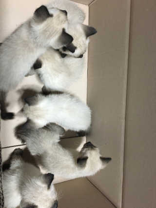 오연순님이 올린 리뷰 사진 3
