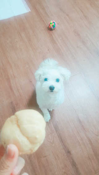 지영님이 올린 리뷰 사진 3