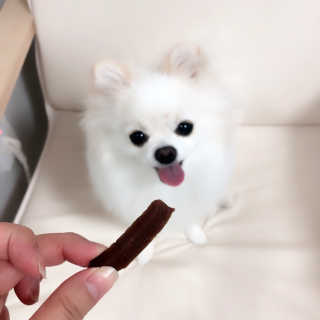 효니님이 올린 리뷰 사진 3