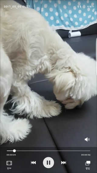 엣헴님이 올린 리뷰 사진 3