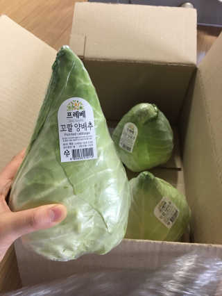 시호맘님이 올린 리뷰 사진 1