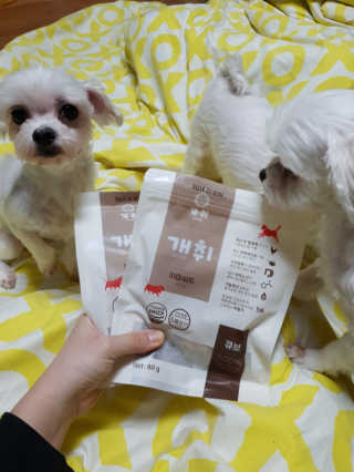 개취 애견간식 닭고기와 아마씨드의 만남 — 5점을 준 리뷰어가 2019년 2월 올린 사용 사진