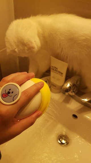 Pethroom 페스룸 PETHROOM RELAX SHOWER 페스룸 릴렉스 샤워기 — 5점을 준 리뷰어가 2018년 11월 올린 사용 사진