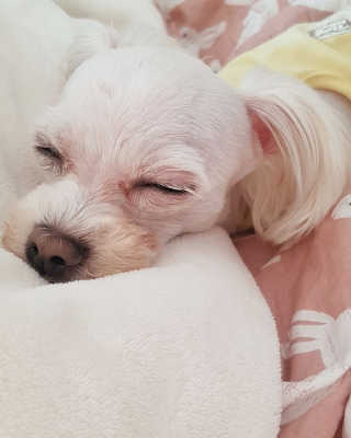 상선언니님이 올린 리뷰 사진 4