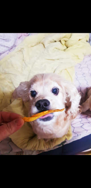 조소민님이 올린 리뷰 사진 3
