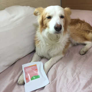 떡볶이죠아님이 올린 리뷰 사진 2