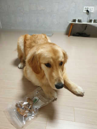 밍구빵댕이님이 올린 리뷰 사진 2