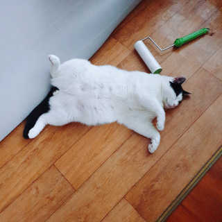 한라봉님이 올린 리뷰 사진 3