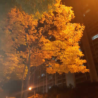 김하람님이 올린 리뷰 사진 2
