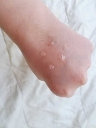 냠냠잉님이 올린 리뷰 사진 3