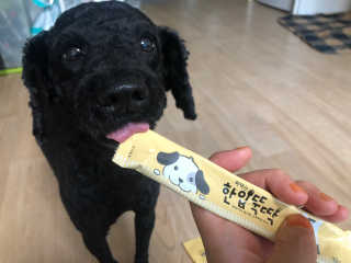 [펫토리아]짜먹는 한입뚝딱 강아지.고양이 마약간식 — 4점을 준 리뷰어가 2019년 8월 올린 사용 사진