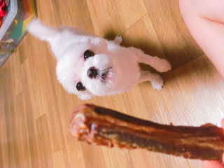 쮸동비님이 올린 리뷰 사진 2