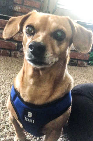 Wcpunk4님이 올린 리뷰 사진 3